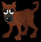 CHESTNUT!!