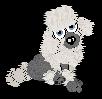 Damn poodle!